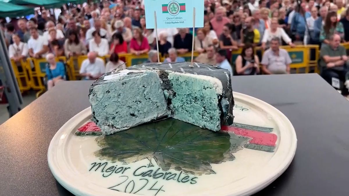Video: Nejdražší sýr na světě vydražili za cenu nové škodovky