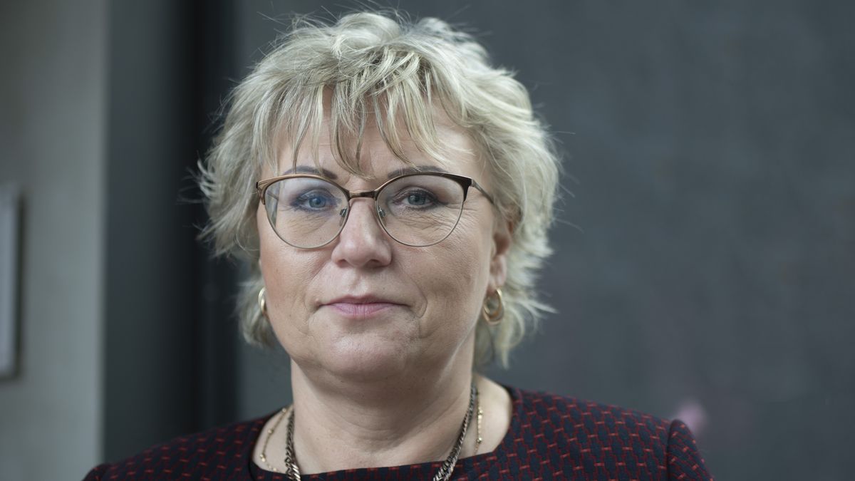 Likvidační kontroly a nájemné zabití psa. Jak politička ANO kula pikle