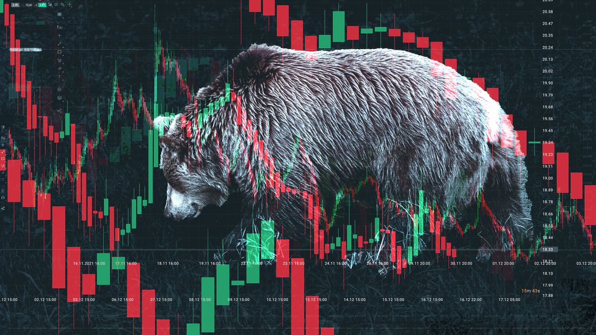 Na Wall Street se zabydlel medvěd a může tam být ještě několik měsíců
