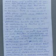 Zápisky samoživitelky Jany Brožové.