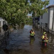 Conselice, 23. května.