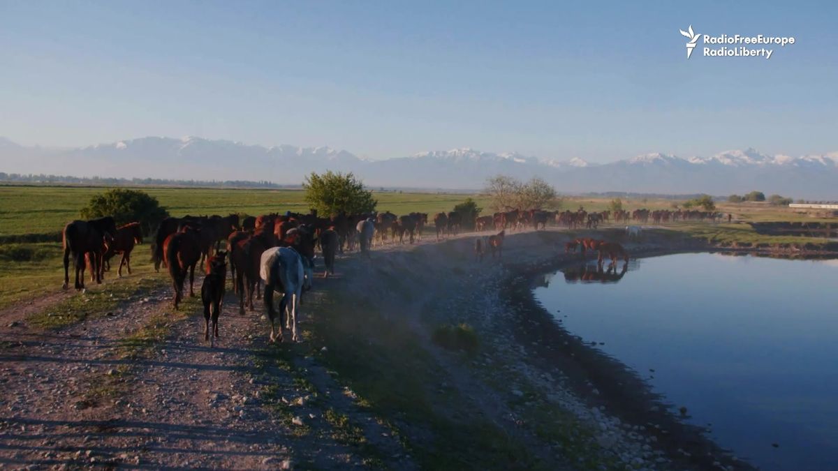 Video: Putování sedmi statečných přes nebezpečné kyrgyzské hory