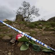 Fotograf Ian Sproat zase řekl BBC, že mu zničení stromu „mohlo utrhnout srdce“.