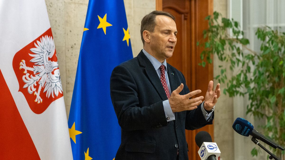 Dejme Kyjevu zbraně k likvidaci ruského velení, vyzval Sikorski