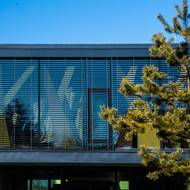 Stylizovaný les je zvenčí částečně vidět i při stažených žaluziích.