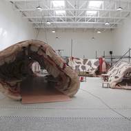 Koťátková na projektu spolupracovala s umělkyní Himali Son Soin a kolektiv Gesturing Towards Decolonial Futures a kolektivy dětí a seniorů.