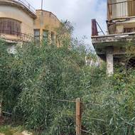 Je jí jedno, co kdo říká, důležité pro ni je, že má prostor se rozvinout, a tak to úspěšně dělá.