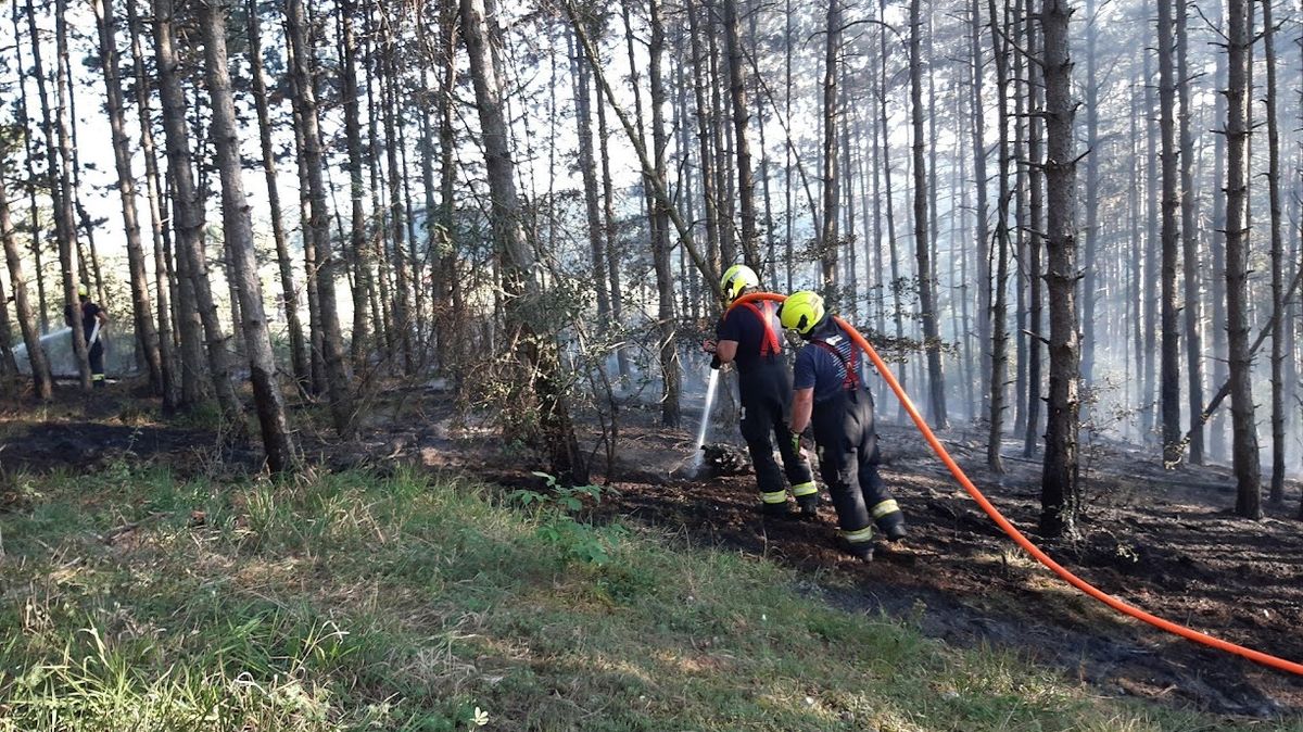 V pražském Radotíně hořelo devět hektarů lesa, hasit přiletěl i vrtulník