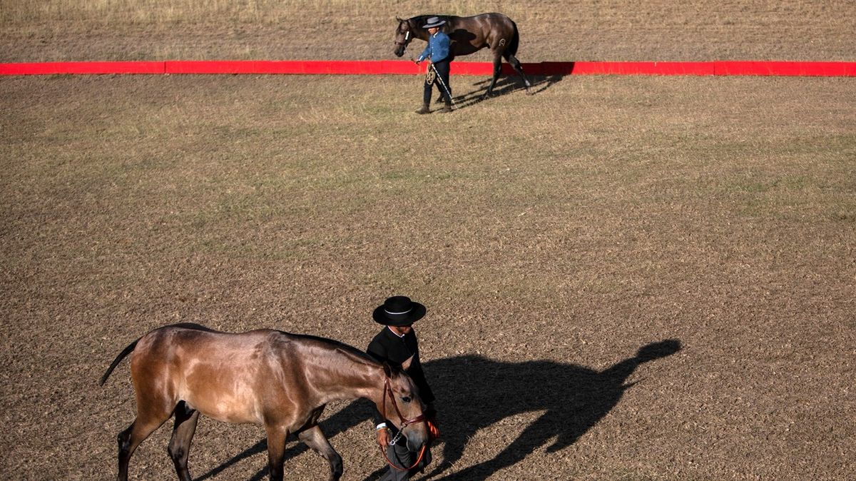 Editorský výběr: Nejlepší fotografie uplynulého týdne