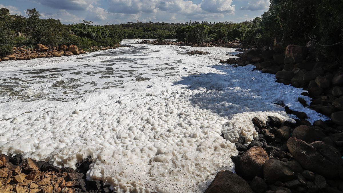 Video: Nesnesitelný zápach a mrtvé ryby. Toxická pěna zamořila brazilskou řeku