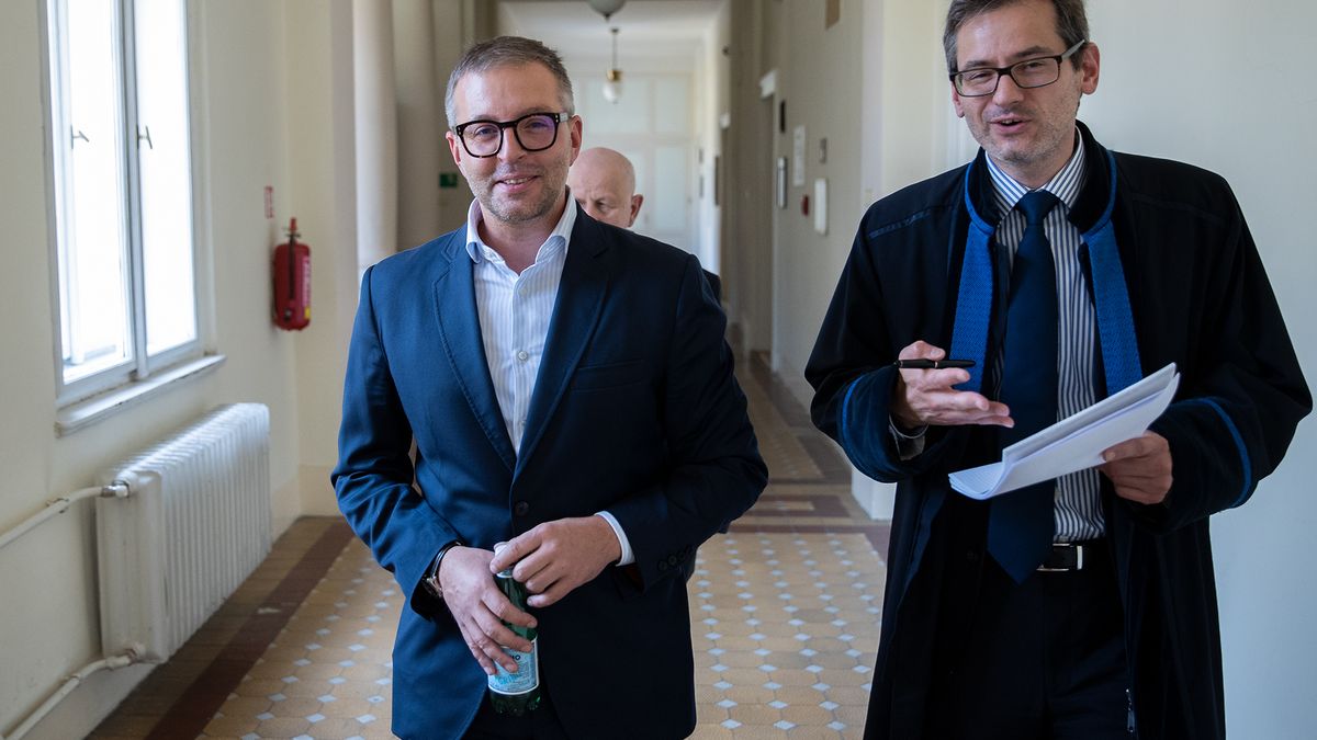 Trest pro galeristu Třeštíka neplatí, soud vrátil kauzu Muchových děl policii