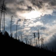 Na pomoc obyvatelům obcí v Českém Švýcarsku, které už více než týden trápí rozsáhlý lesní požár, vybrali lidé zatím přes 6,5 milionu korun.