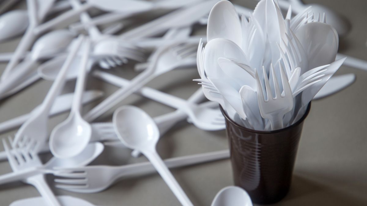 Senát schválil zákaz plastových příborů, talířů nebo brček