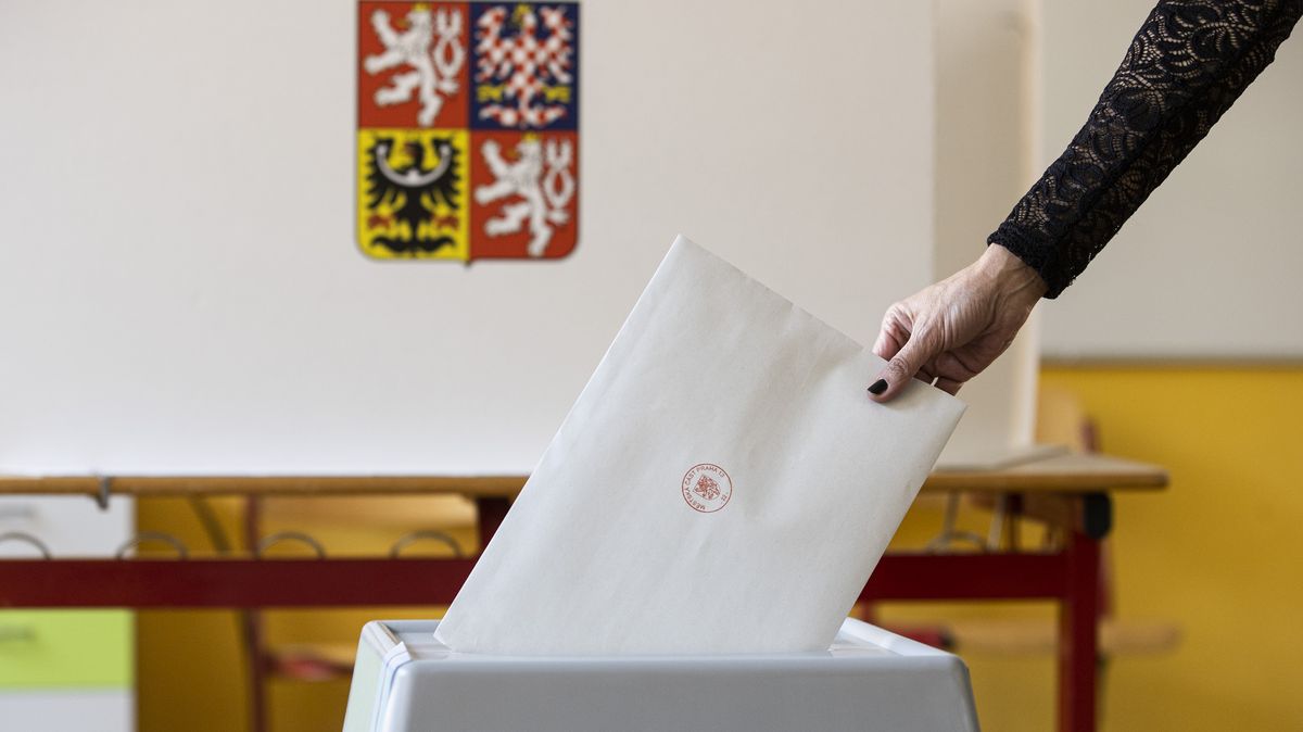 Přímou volbu prezidenta podporuje 82 procent Čechů, ukázal průzkum