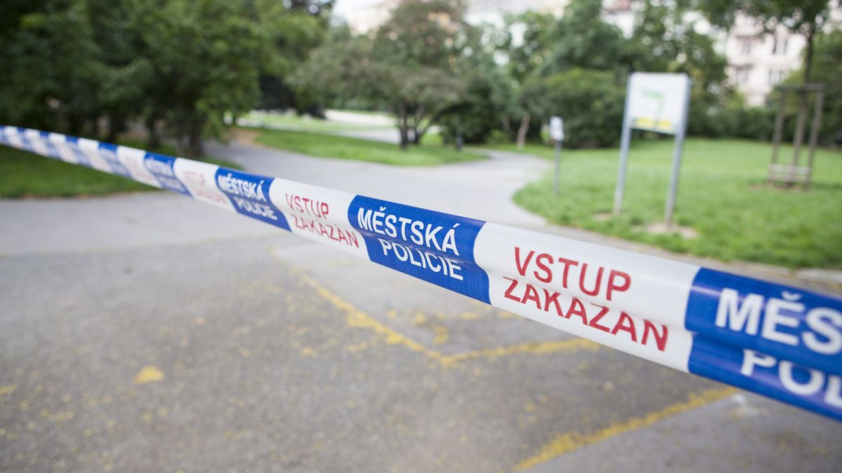 Muž zemřel po potyčce v nočních Pardubicích. Policie zadržela podezřelé cizince