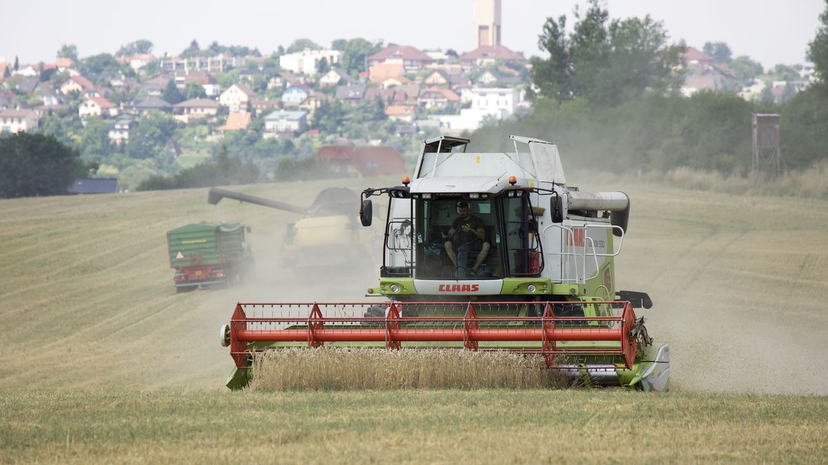Ukrajinské obilí vzburcovalo zemědělce. Už šest zemí volá po urgentní akci