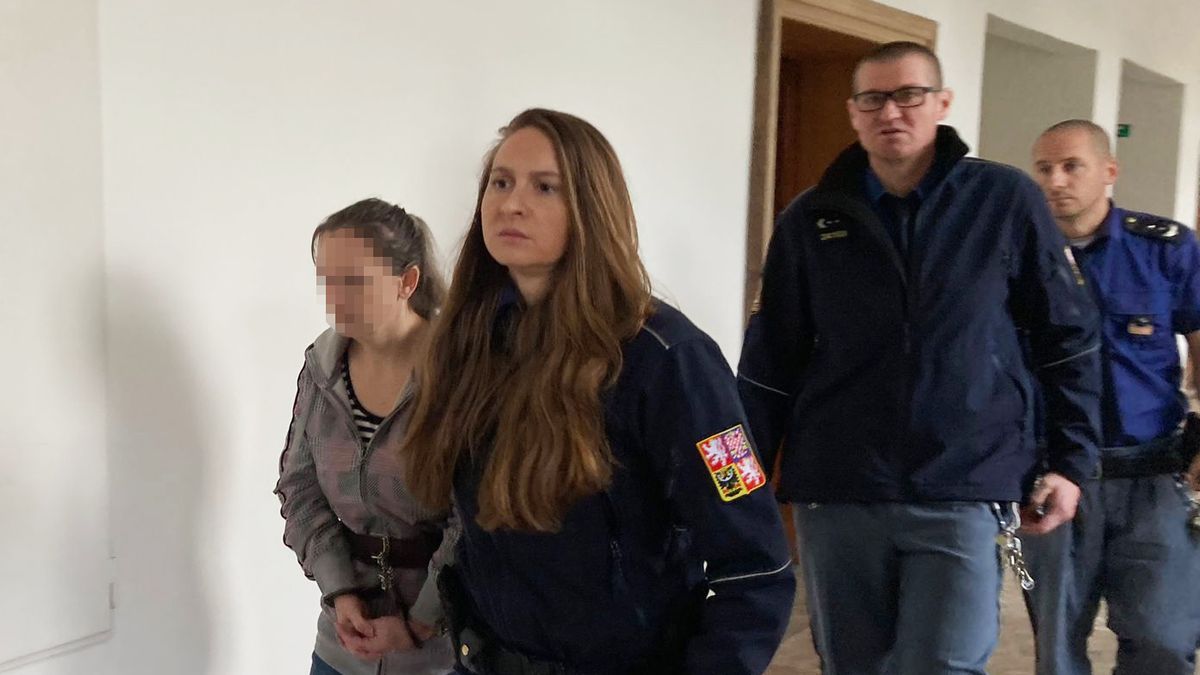 Matka dostala za surové týrání dvou malých synů šest let vězení