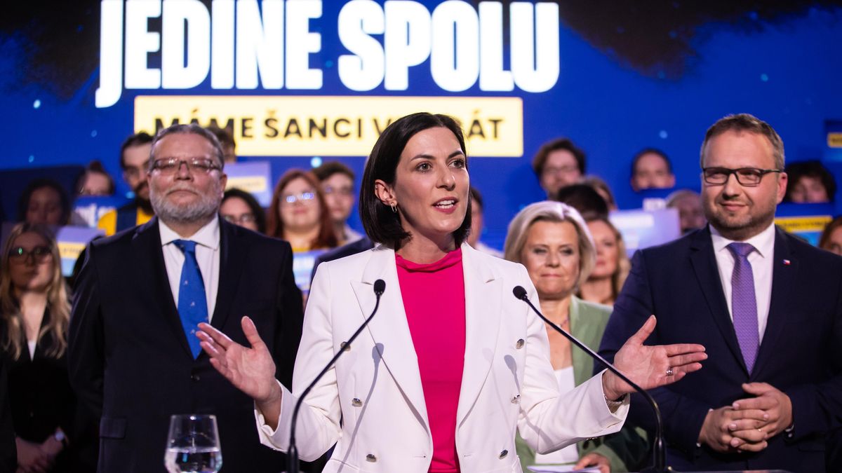 Problém jménem euro. Spolu štěpí otázka, zda voličům slibovat konec koruny