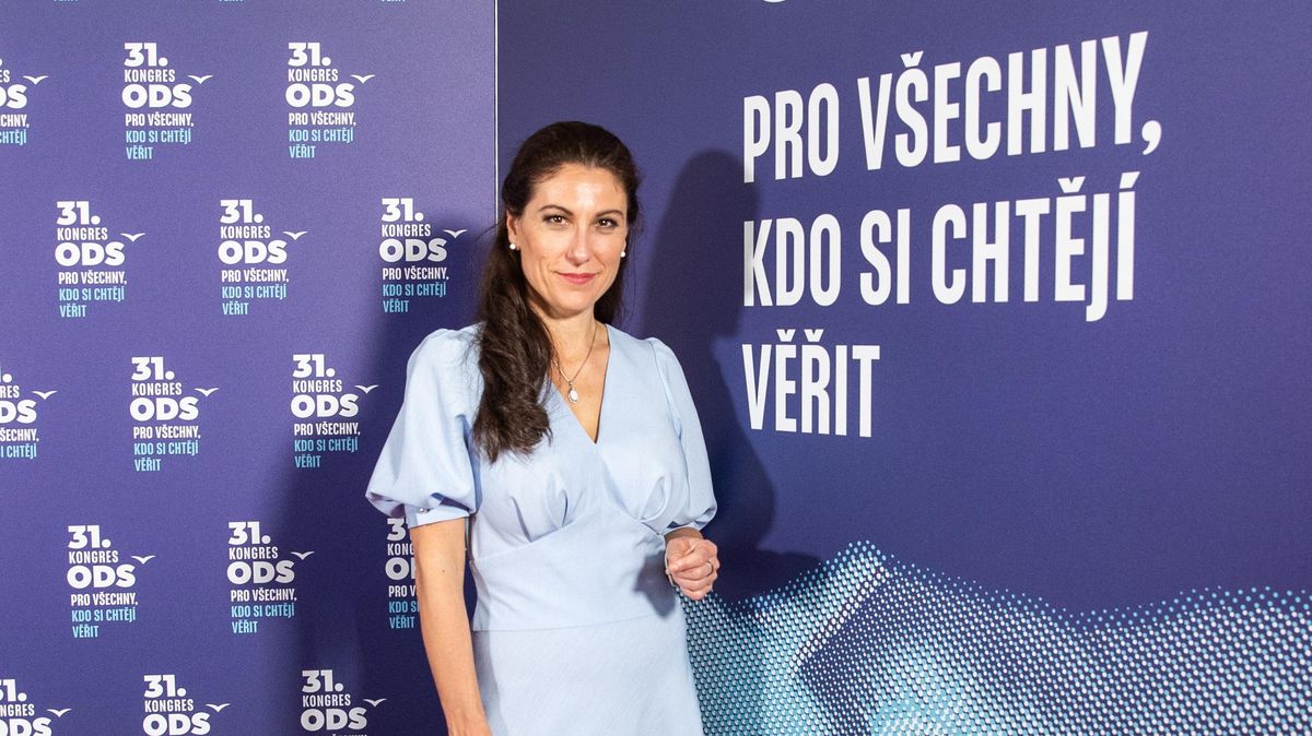Decroix nechce spekulovat o svém možném angažmá ve vládě