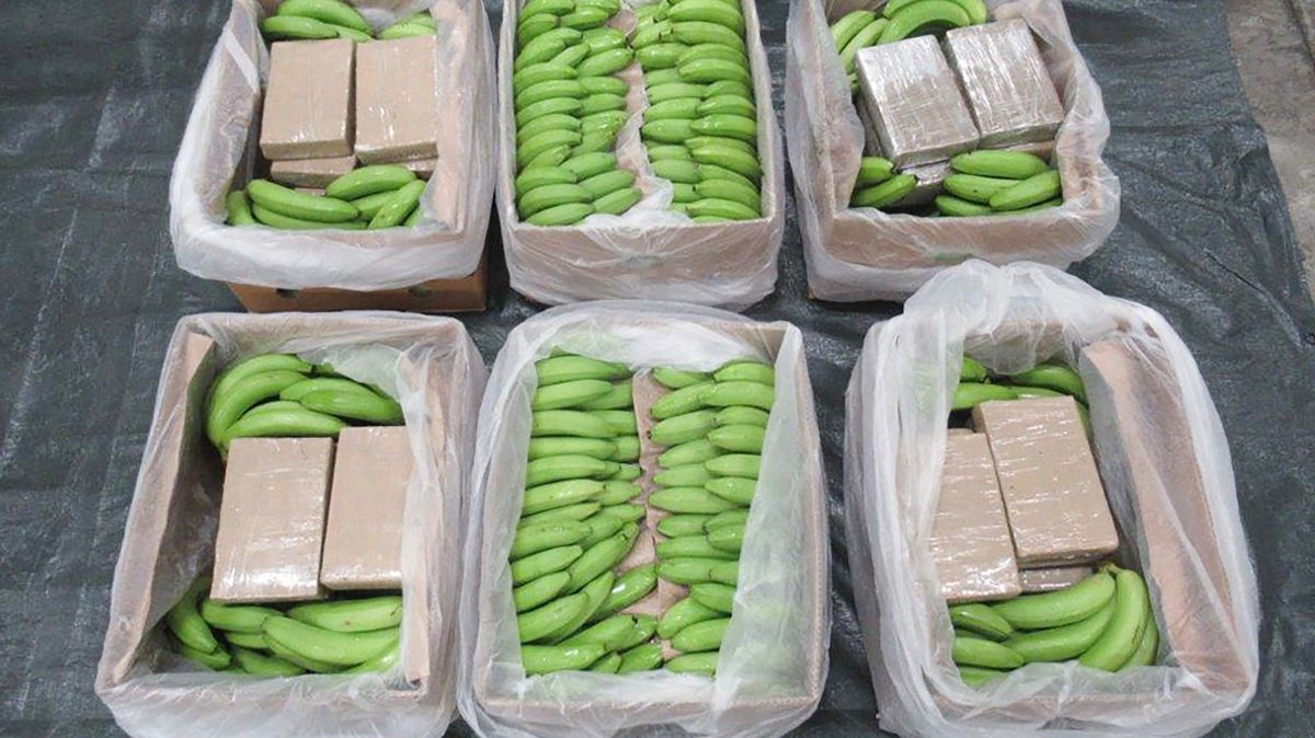Kokain v krabicích s banány. Balkánské kartely se umí infiltrovat všude