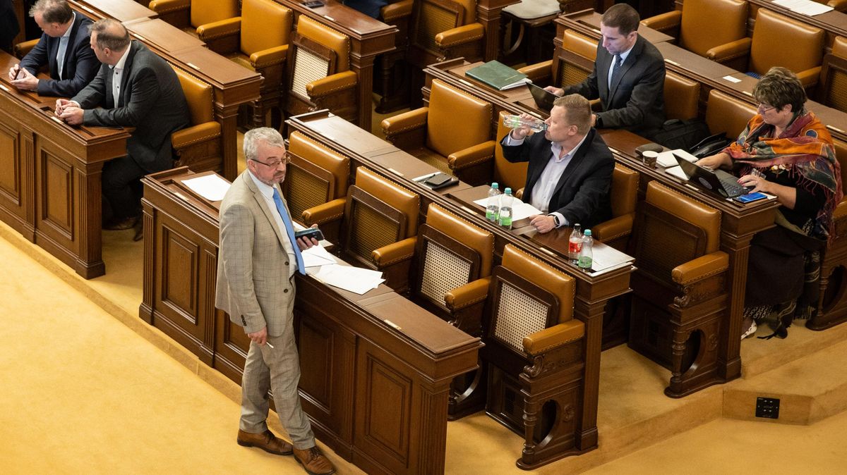 Skupina poslankyň navrhuje omezit ve Sněmovně řečnické doby