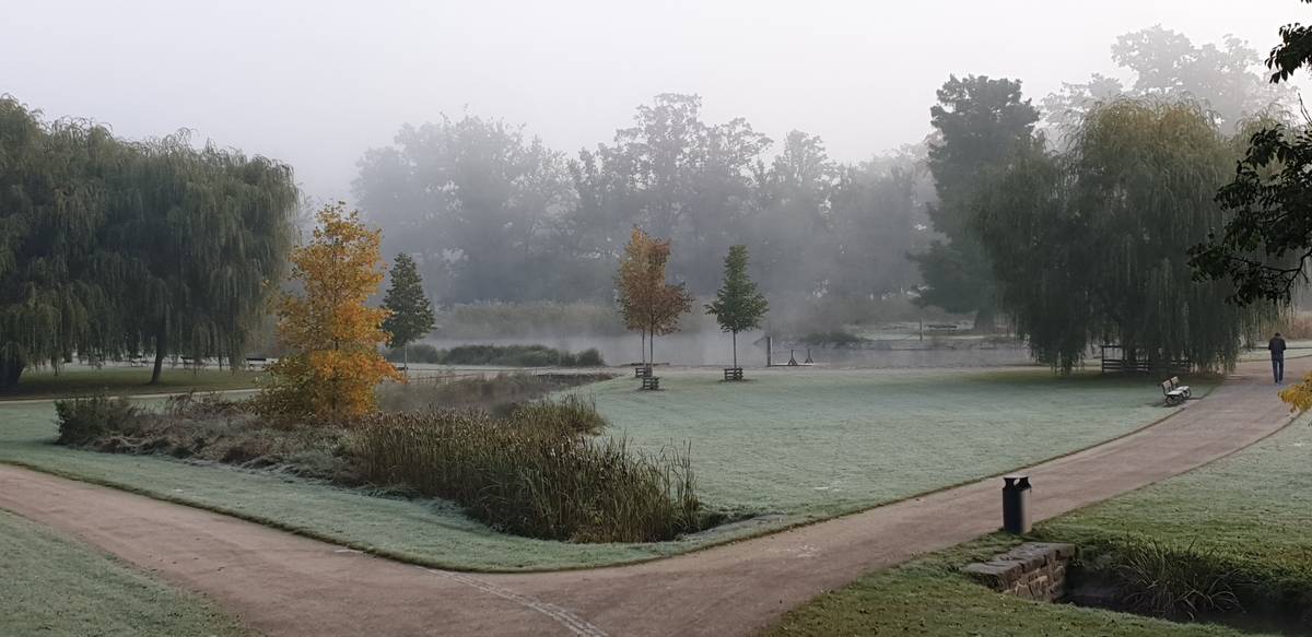 Podzimní jinovatka ve Stromovce