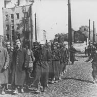 Při povstání byla zdecimována elita polského národa, respektive to, co z ní zbývalo po pěti letech teroru. Mezi mrtvými měli značné zastoupení mladí lidé a inteligence, kteří tvořili většinu příslušníků bojových jednotek. (Německý voják střeží zajaté členy polského odboje, říjen 1944.)