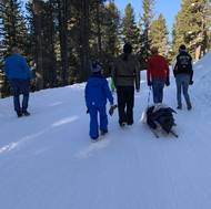 Policisté totiž například Janouška v létě 2019 zastihli při cyklistice v okolí Prahy. Seznam Zprávy pak také získaly a zveřejnily fotografie odsouzeného lobbisty při sáňkování na dovolené v Alpách.