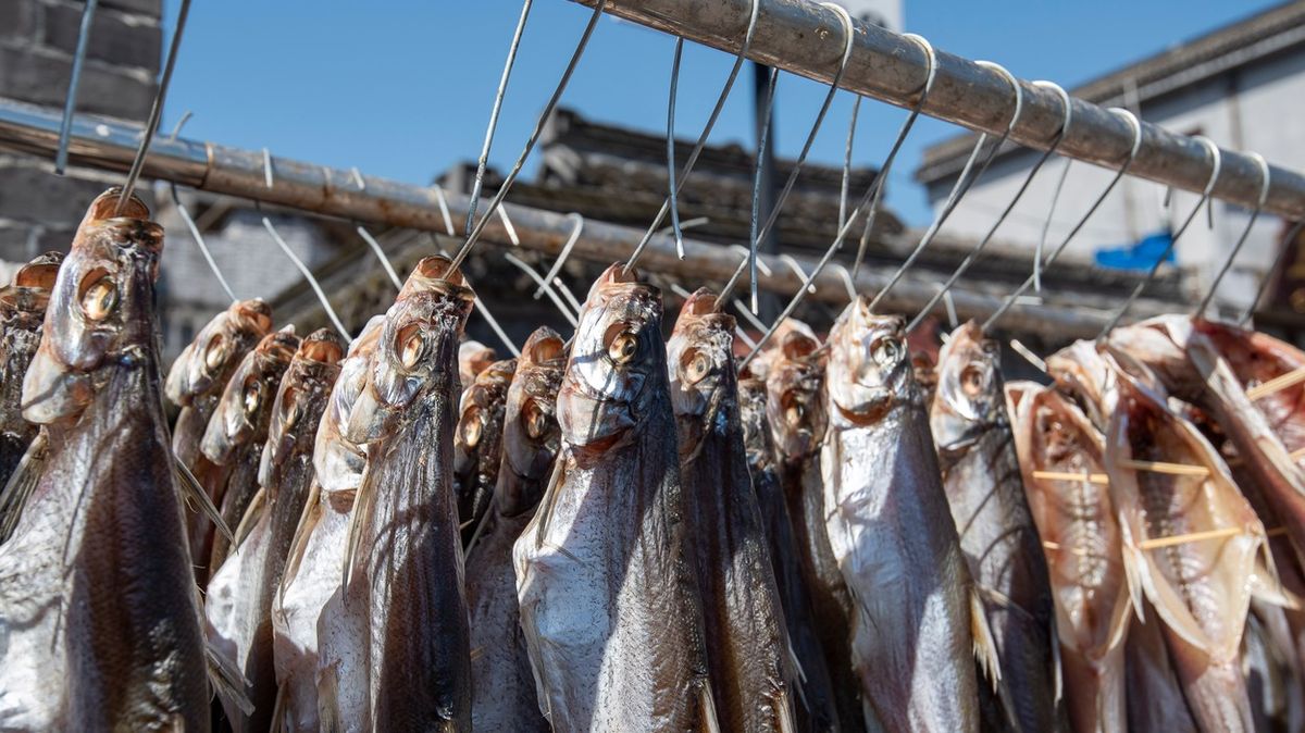 Nejezte ryby, nabádá dokument celý svět. Čeští vědci řekli svůj názor