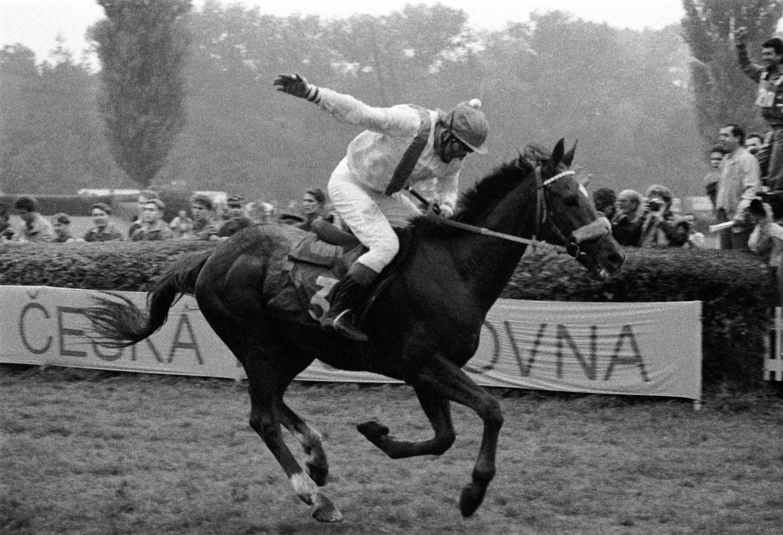 101. ročník Velké pardubické steeplechase - vítěz Josef Váňa na koni Železník ve finiši.