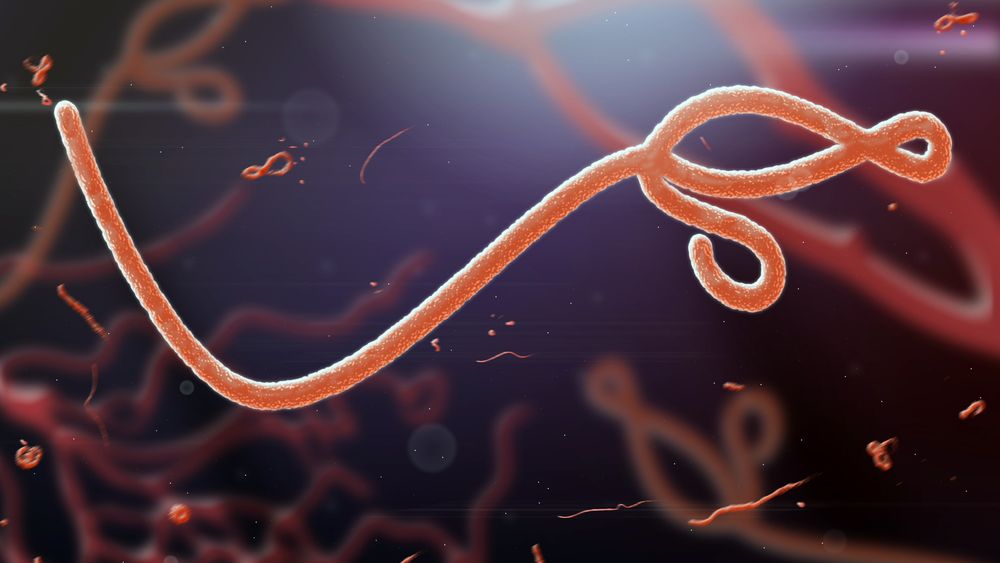 V Británii mají pacienta s podezřením na ebolu