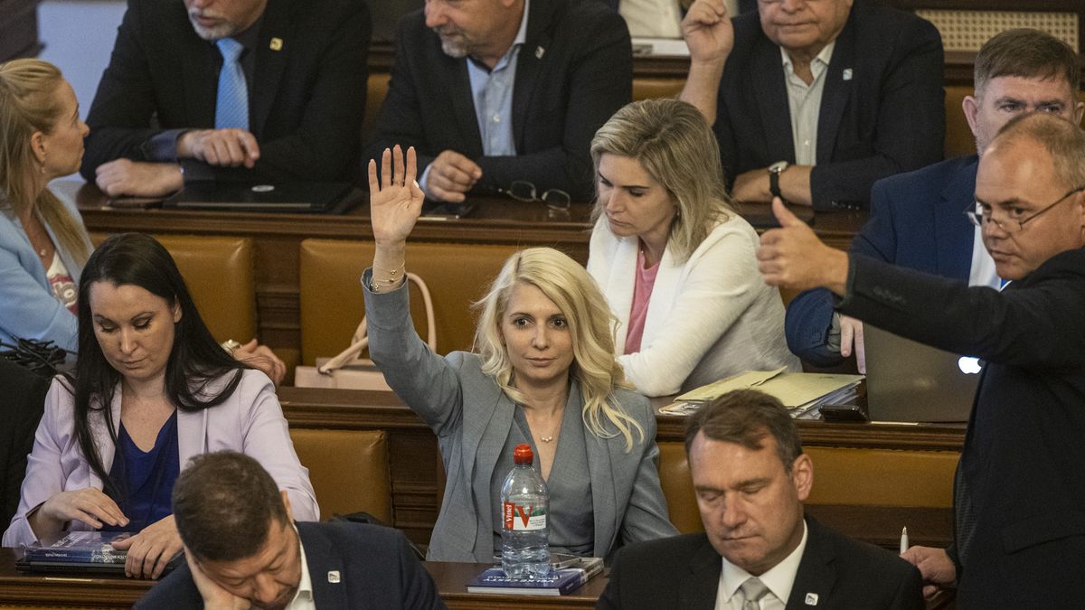Poslanci schválili růst platů politiků. Polepší si o 7 procent