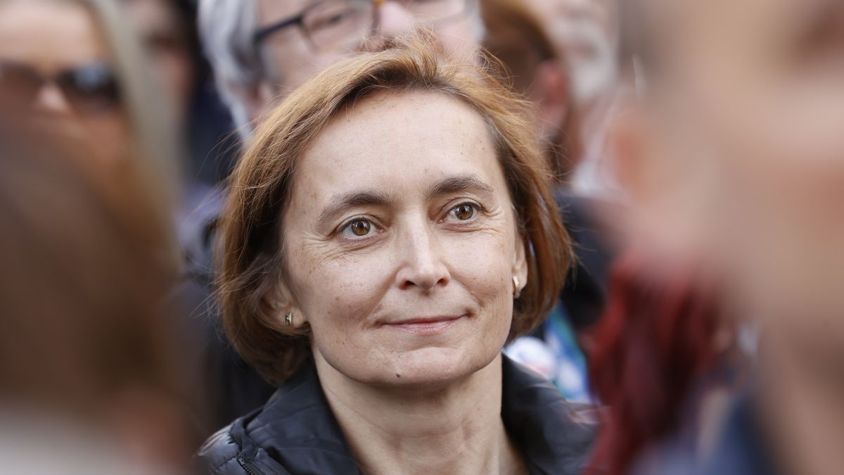 Peková by měla posoudit studii covidu. Znalecké razítko stále má