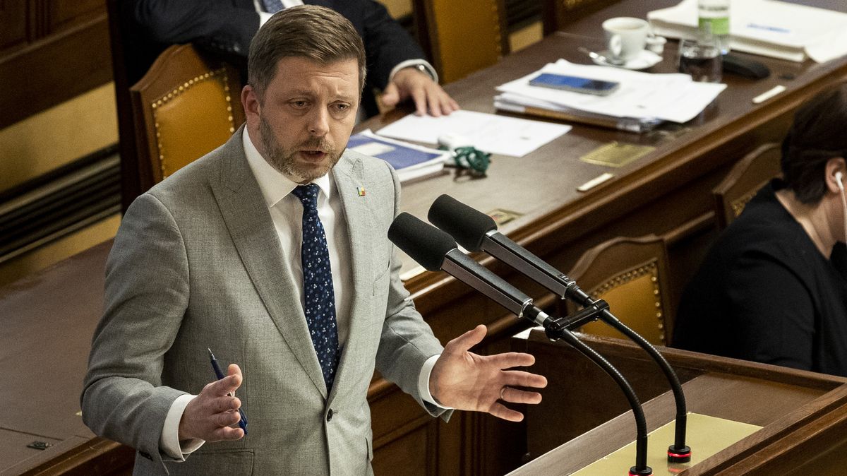 Došlo i na Miladu Horákovou. Senát vrátil poslancům Lex Ukrajina