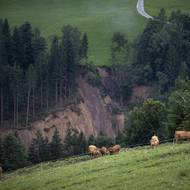 Momentálně je Slovinsko ohroženo možnými sesuvy vodou podmáčené půdy. 