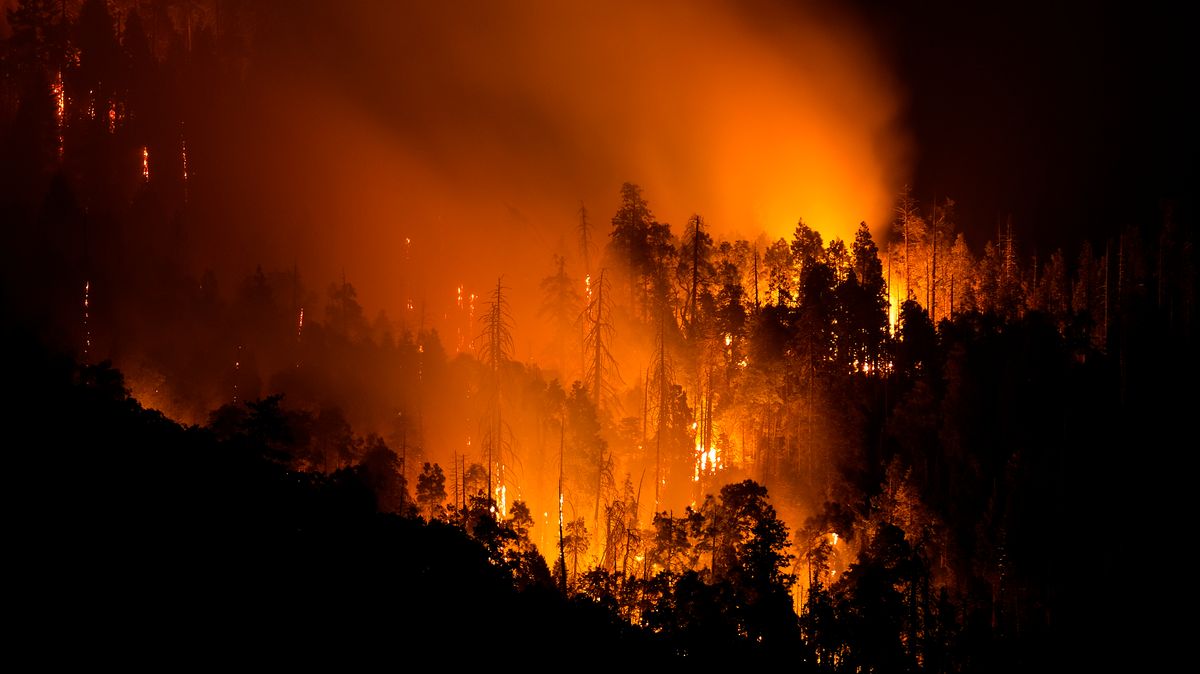 Rychle postupující požár na jihu Kalifornie si vynutil evakuaci 1200 lidí