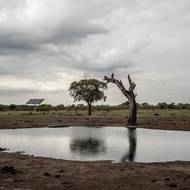 Park se rozkládá na ploše asi 14 600 kilometrů čtverečních, což je asi jako Praha, Středočeský a Liberecký kraj dohromady. Žije v něm asi 45 tisíc slonů, což je podle agentury AFP tolik, že jsou považováni za hrozbu pro životní prostředí.