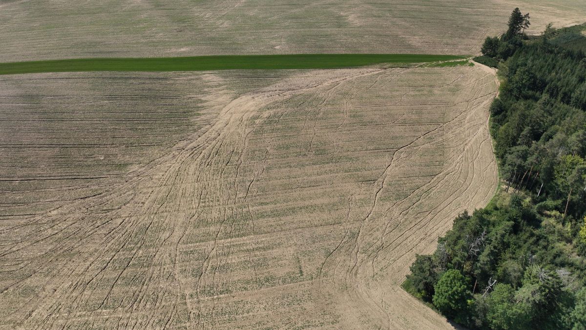 Víc svobody pro farmáře. Ministerstvo zvažuje změnu protierozních pravidel