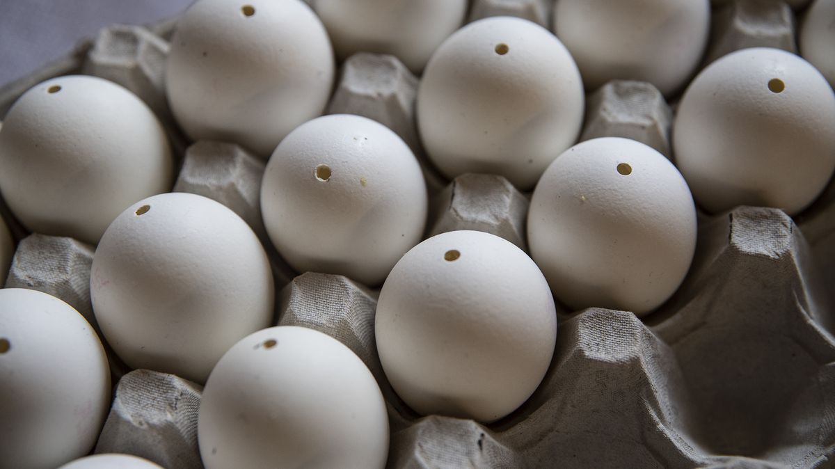 Bílá, nebo šedá? Velikonoce mění zájem o vajíčka. V Česku bude jedné barvy víc
