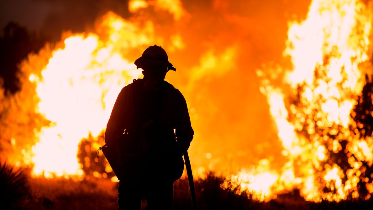Le nombre d’incendies en Europe est un record.  Les données montrent des tendances d’avertissement