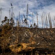 Plameny v národním parku momentálně hasí 18 vrtulníků a pět letadel.