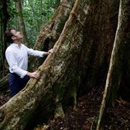 Summit Gabon spolupořádal s Francií. Na posvátný strom, jehož věk se odhaduje na 700 let, se přijel podívat francouzský prezident Emmanuel Macron. Vyfoceno 2. března 2023.