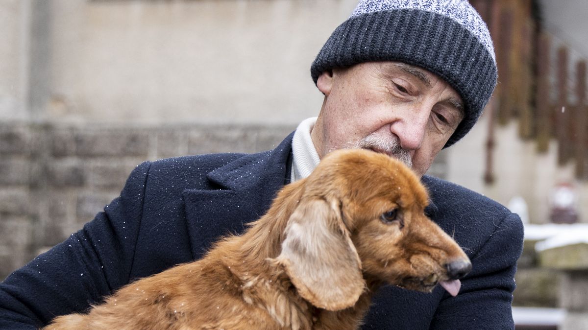 Magických 40+. Co rozhodne, jestli si Babiš splní Paroubkův sen?