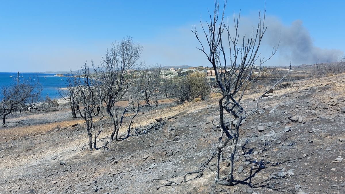Obraz zkázy na Rhodosu. Trosky, zvířecí torza a auta na prach