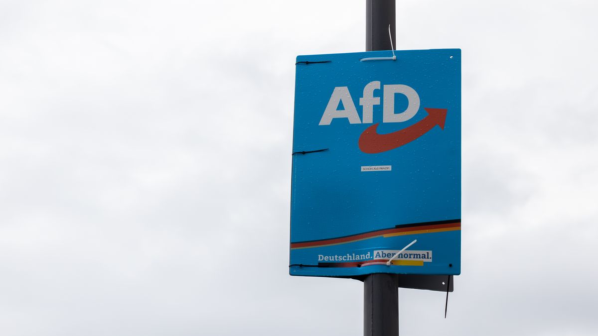 Europarlamentní frakce Identita a demokracie vyloučila ze svých řad AfD