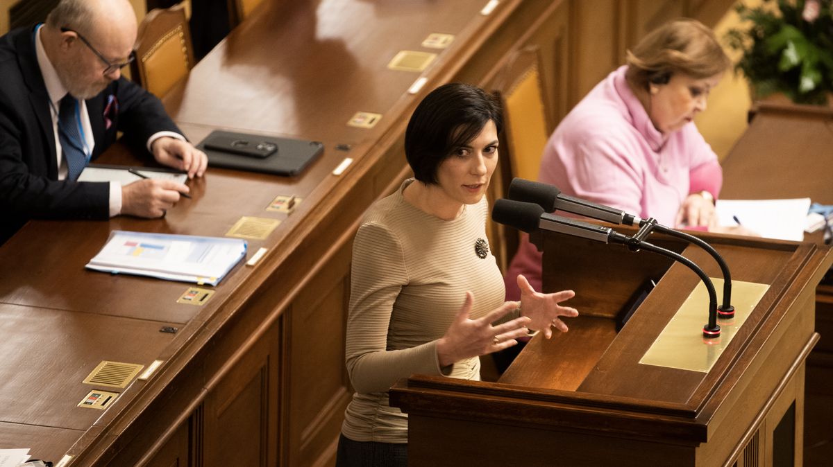 Poslanci přemýšlí o vlastní parlamentní stráži místo policie