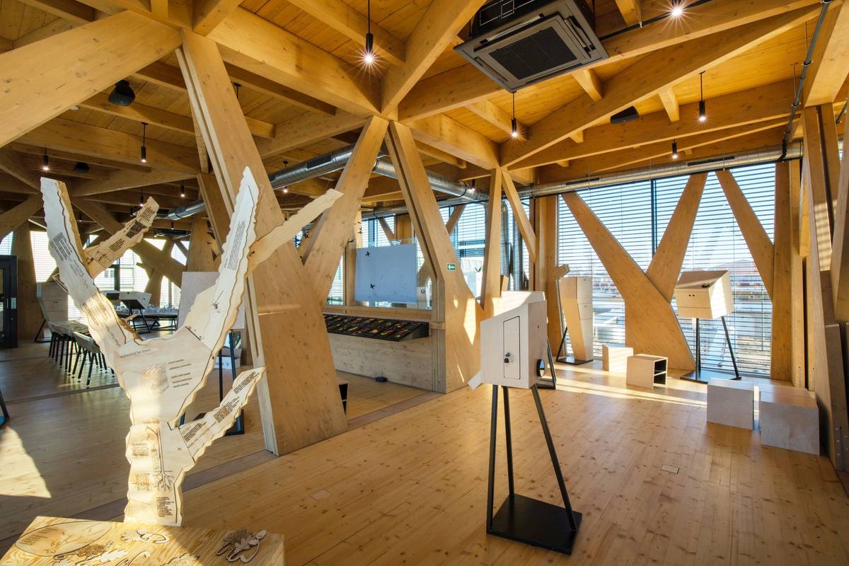 Expozice je pojatá jako stylizovaný les.