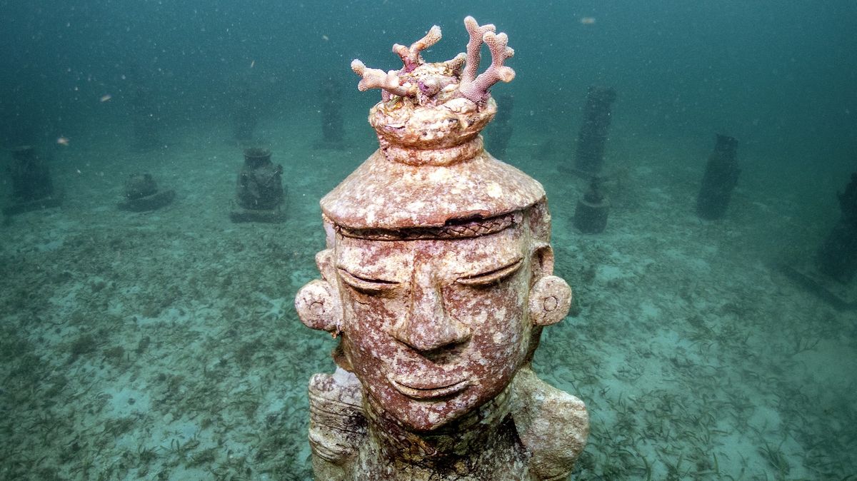 Fotky: Podvodní galerie slouží jako nový domov pro ohrožené korály