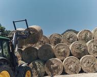 Vůně sena je všudypřítomná. 