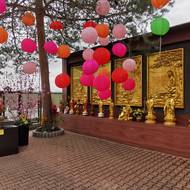 Voní tu kuchyně jihovýchodní Asie, občas zasmrdí motor staré dodávky, auta parkují všude včetně těch nejluxusnějších. Obří areál Sapa v pražské Libuši měl kdysi kontroverzní pověst a byl nepřístupný. Už roky sem ale může každý a po covidových omezeních se vrátili i zájemci o exkurze za vietnamskou kulturou, náboženstvím a hlavně gastronomií.